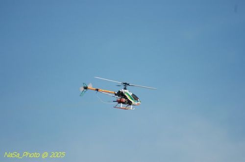 DSC_8843.JPG