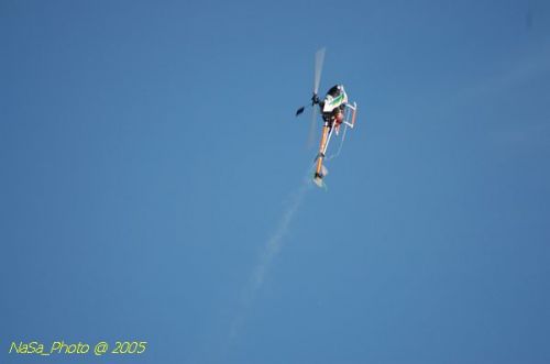 DSC_8844.JPG