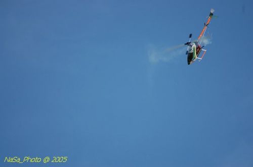DSC_8845.JPG