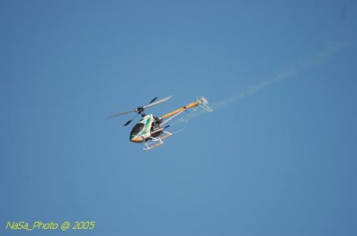DSC_8848.JPG