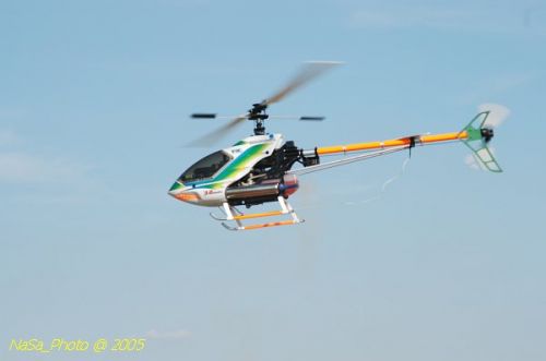 DSC_8851.JPG