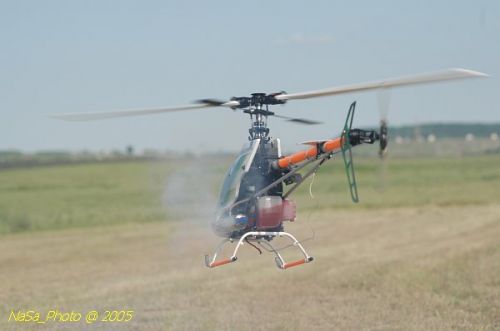 DSC_8853.JPG
