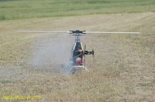 DSC_8854.JPG