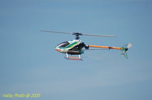 DSC_9068.JPG