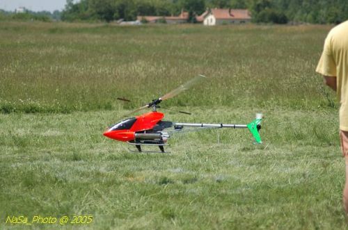 DSC_9138.JPG