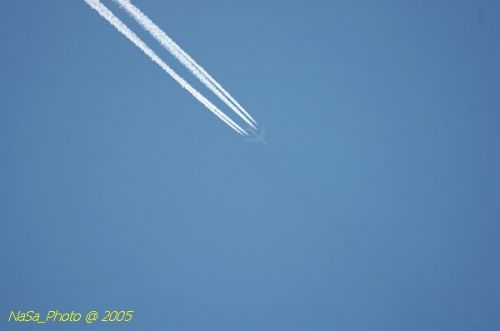DSC_9145.JPG
