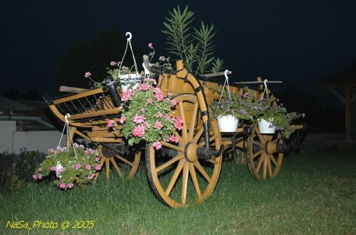 DSC_0057.JPG
