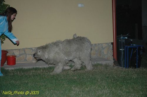 DSC_0080.JPG