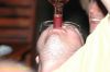 DSC_0143.JPG