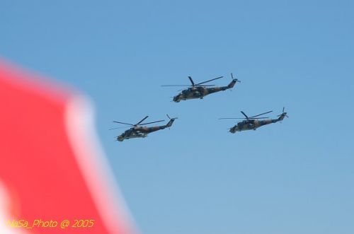 DSC_0832.JPG