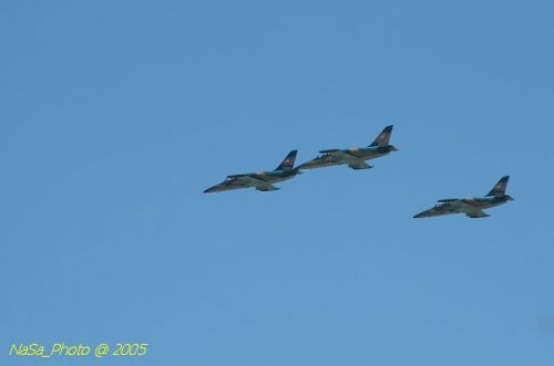 DSC_0833.JPG