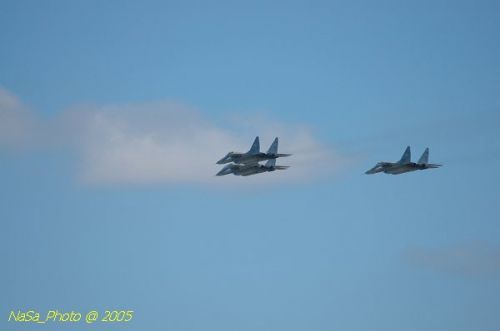 DSC_0842.JPG