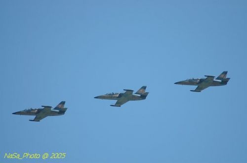 DSC_0845.JPG