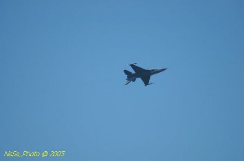 DSC_0866.JPG