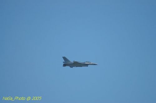 DSC_0869.JPG