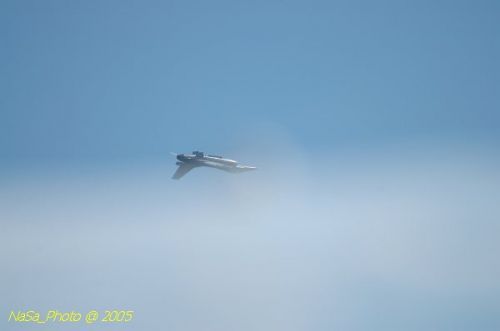 DSC_0871.JPG