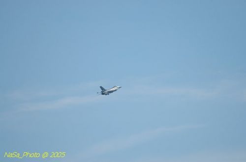 DSC_0873.JPG
