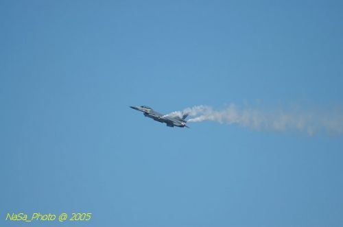 DSC_0911.JPG