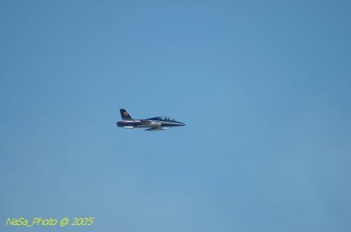 DSC_0924.JPG