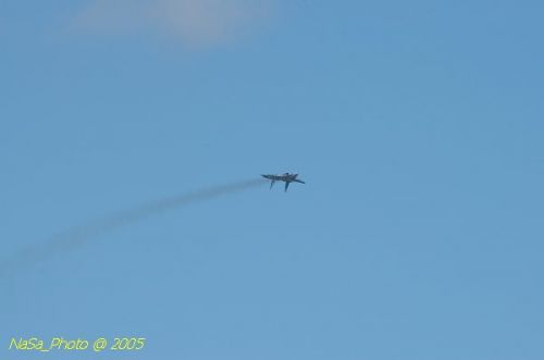 DSC_0948.JPG
