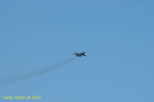 DSC_0949.JPG