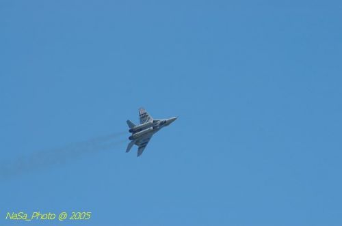 DSC_0950.JPG