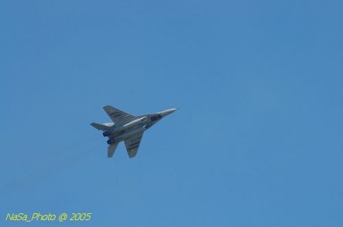 DSC_0951.JPG