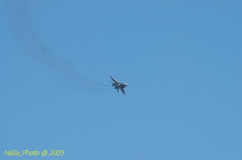 DSC_0953.JPG