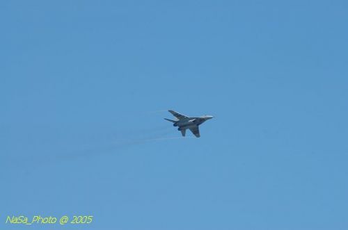 DSC_0954.JPG