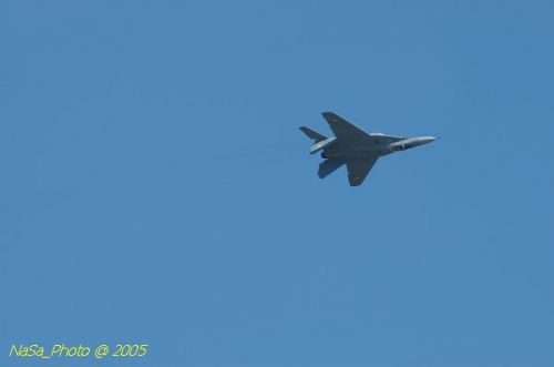 DSC_0955.JPG