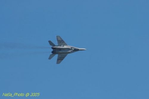 DSC_0956.JPG