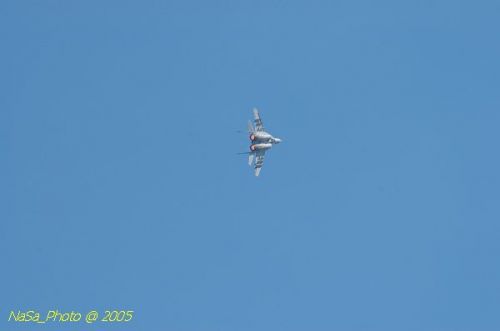 DSC_0958.JPG