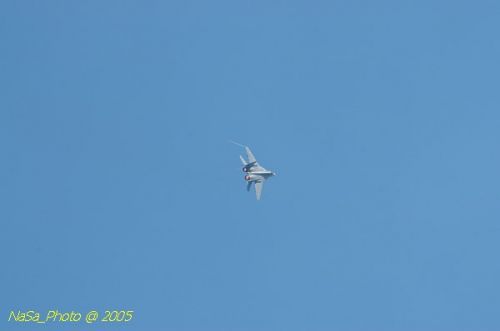 DSC_0959.JPG
