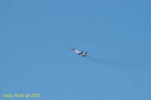 DSC_0960.JPG