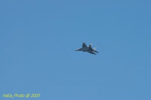 DSC_0963.JPG