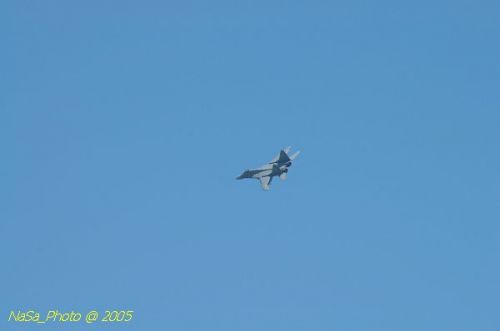 DSC_0964.JPG