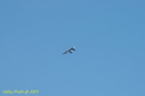DSC_0965.JPG