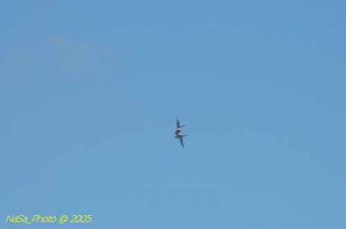 DSC_0966.JPG