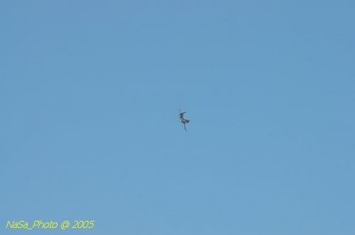 DSC_0967.JPG