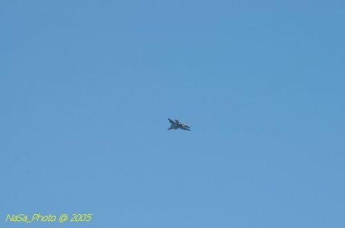DSC_0968.JPG