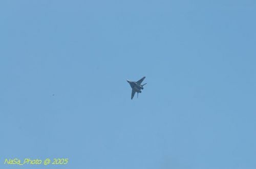 DSC_0972.JPG