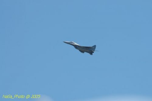 DSC_0975.JPG