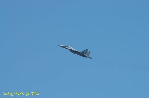 DSC_0979.JPG
