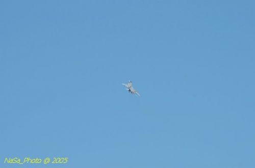 DSC_0980.JPG