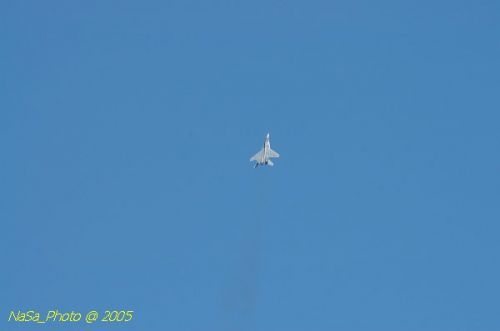 DSC_0981.JPG