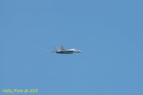 DSC_0993.JPG