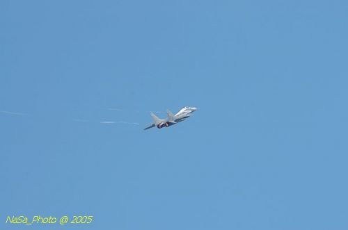 DSC_0994.JPG