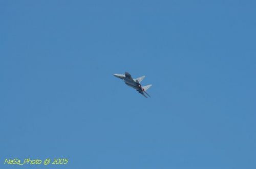 DSC_1000.JPG