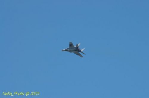 DSC_1001.JPG