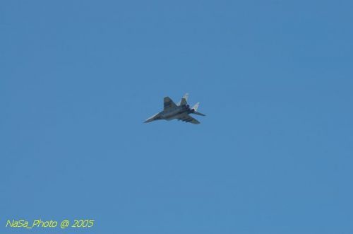 DSC_1002.JPG